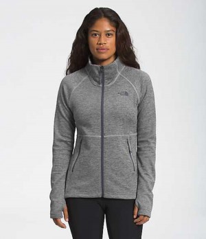Fleece Jackets The North Face Canyonlands Mujer Gris | 6801573-IJ