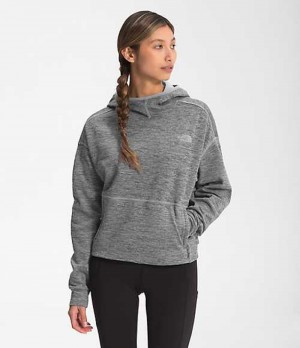 Fleece Jackets The North Face Canyonlands Mujer Gris | 0928576-GM