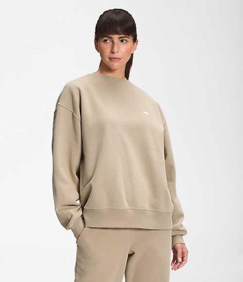 Sudadera The North Face City Standard Mujer Gris | 8015374-PV